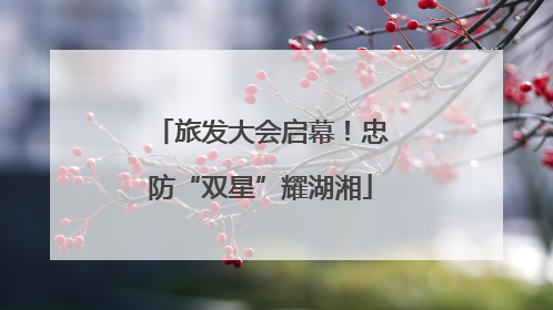 旅发大会启幕！忠防“双星”耀湖湘