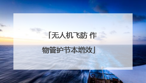 无人机飞防 作物管护节本增效