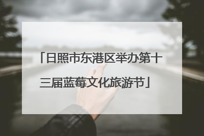 日照市东港区举办第十三届蓝莓文化旅游节