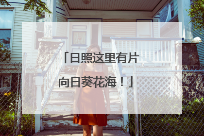 日照这里有片向日葵花海！