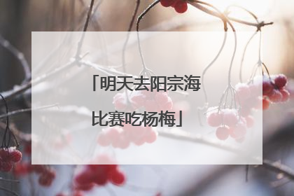 明天去阳宗海比赛吃杨梅