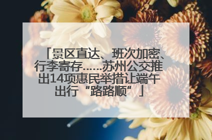 景区直达、班次加密、行李寄存……苏州公交推出14项惠民举措让端午出行“路路顺”