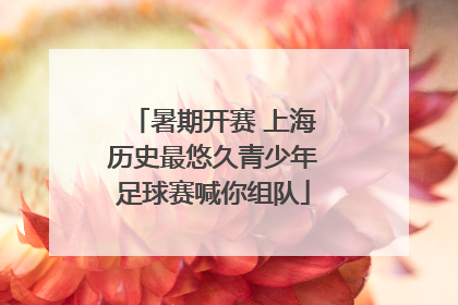 暑期开赛 上海历史最悠久青少年足球赛喊你组队