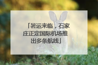 暑运来临，石家庄正定国际机场推出多条航线