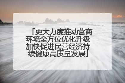更大力度推动营商环境全方位优化升级加快促进民营经济持续健康高质量发展