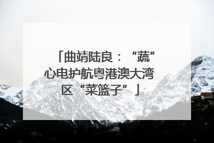 曲靖陆良：“蔬”心电护航粤港澳大湾区“菜篮子”