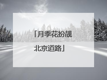 月季花扮靓北京道路