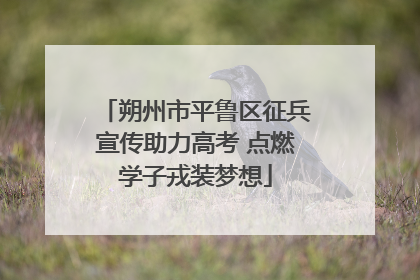朔州市平鲁区征兵宣传助力高考 点燃学子戎装梦想