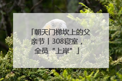 朝天门梯坎上的父亲节丨308寝室，全员“上岸”