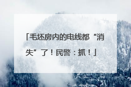 毛坯房内的电线都“消失”了！民警：抓！