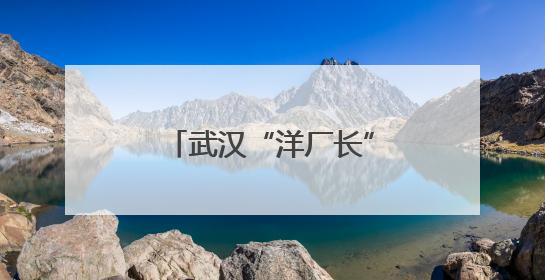 武汉“洋厂长”格里希的故事被编进德国教材