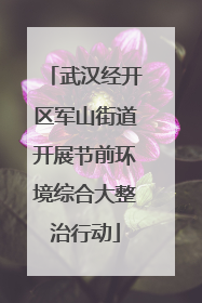 武汉经开区军山街道开展节前环境综合大整治行动