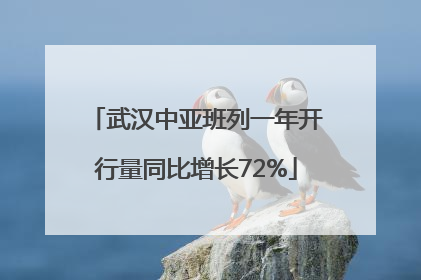 武汉中亚班列一年开行量同比增长72%