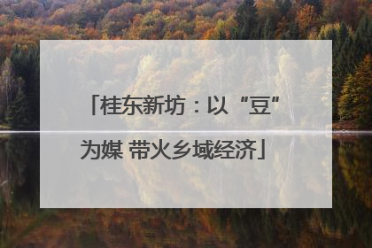 桂东新坊：以“豆”为媒 带火乡域经济