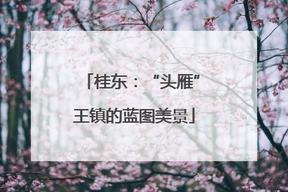 桂东：“头雁”王镇的蓝图美景