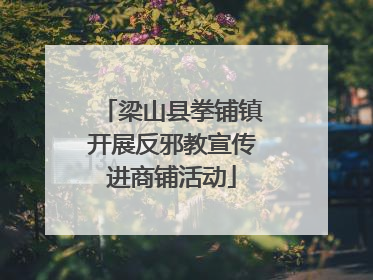 梁山县拳铺镇开展反邪教宣传进商铺活动