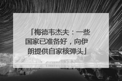 梅德韦杰夫：一些国家已准备好，向伊朗提供自家核弹头