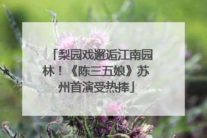 梨园戏邂逅江南园林！《陈三五娘》苏州首演受热捧