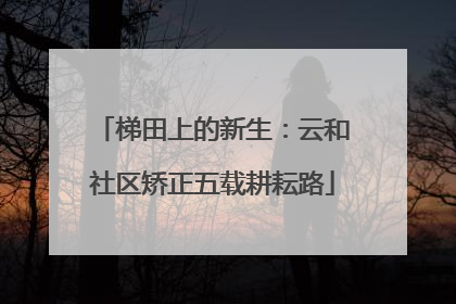 梯田上的新生：云和社区矫正五载耕耘路