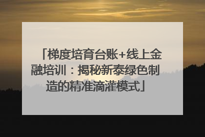 梯度培育台账+线上金融培训：揭秘新泰绿色制造的精准滴灌模式