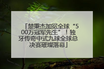 楚秉杰加冕全球“500万冠军先生”！独牙传奇中式九球全球总决赛璀璨落幕