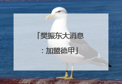 樊振东大消息：加盟德甲