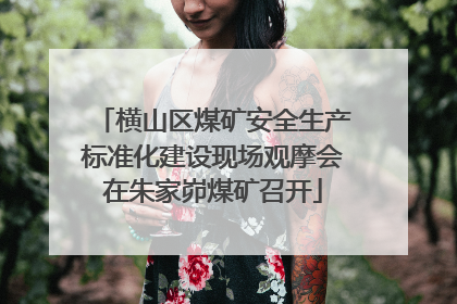 横山区煤矿安全生产标准化建设现场观摩会在朱家峁煤矿召开