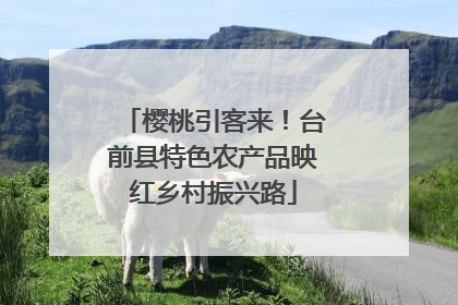 樱桃引客来！台前县特色农产品映红乡村振兴路