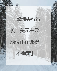 欧洲央行行长：美元主导地位正在变得不确定