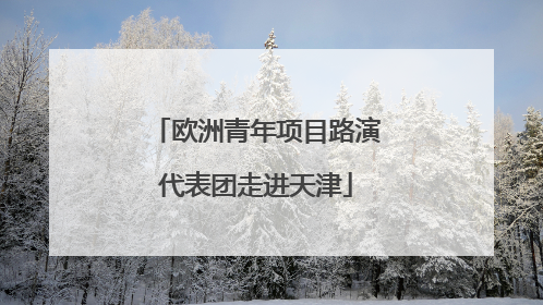 欧洲青年项目路演代表团走进天津
