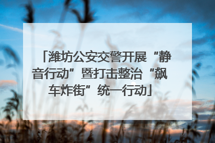 潍坊公安交警开展“静音行动”暨打击整治“飙车炸街”统一行动