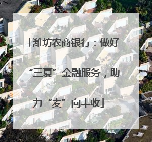 潍坊农商银行：做好“三夏”金融服务，助力“麦”向丰收