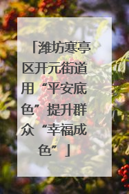 潍坊寒亭区开元街道用“平安底色”提升群众“幸福成色”