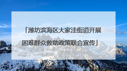 潍坊滨海区大家洼街道开展困难群众救助政策联合宣传
