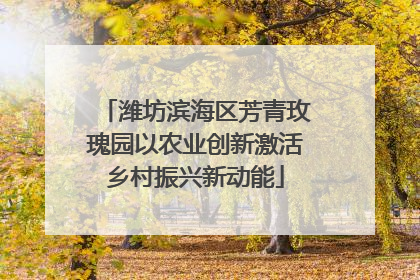潍坊滨海区芳青玫瑰园以农业创新激活乡村振兴新动能