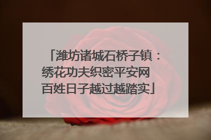 潍坊诸城石桥子镇：绣花功夫织密平安网 百姓日子越过越踏实