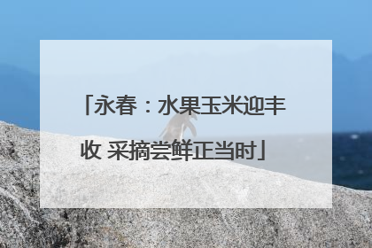 永春：水果玉米迎丰收 采摘尝鲜正当时