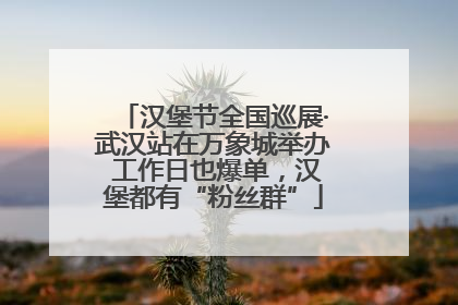 汉堡节全国巡展·武汉站在万象城举办 工作日也爆单，汉堡都有“粉丝群”