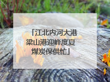 江北内河大港梁山港迎峰度夏煤炭保供忙