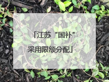 江苏“国补”采用限额分配