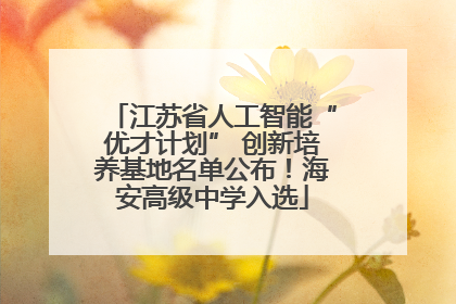江苏省人工智能“优才计划” 创新培养基地名单公布！海安高级中学入选