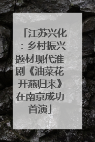 江苏兴化：乡村振兴题材现代淮剧《油菜花开燕归来》在南京成功首演