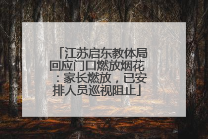 江苏启东教体局回应门口燃放烟花：家长燃放，已安排人员巡视阻止