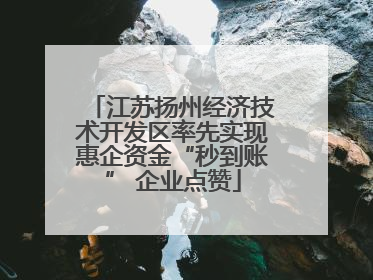 江苏扬州经济技术开发区率先实现惠企资金“秒到账” 企业点赞