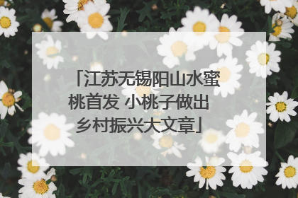 江苏无锡阳山水蜜桃首发 小桃子做出乡村振兴大文章