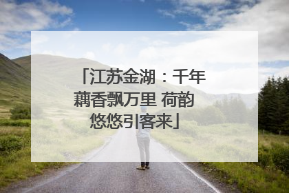 江苏金湖：千年藕香飘万里 荷韵悠悠引客来