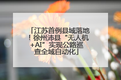 江苏首例县域落地！徐州沛县“无人机+AI”实现公路巡查全域自动化