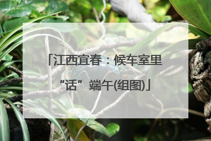 江西宜春：候车室里“话”端午(组图)
