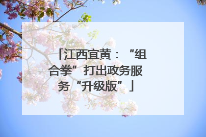 江西宜黄：“组合拳”打出政务服务“升级版”
