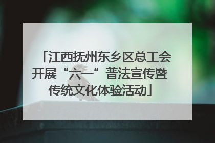 江西抚州东乡区总工会开展“六一”普法宣传暨传统文化体验活动